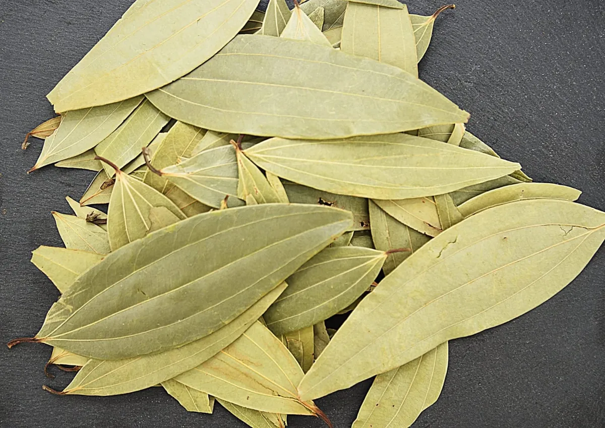 Dried whole tejpatta bay leaves, representative photograph