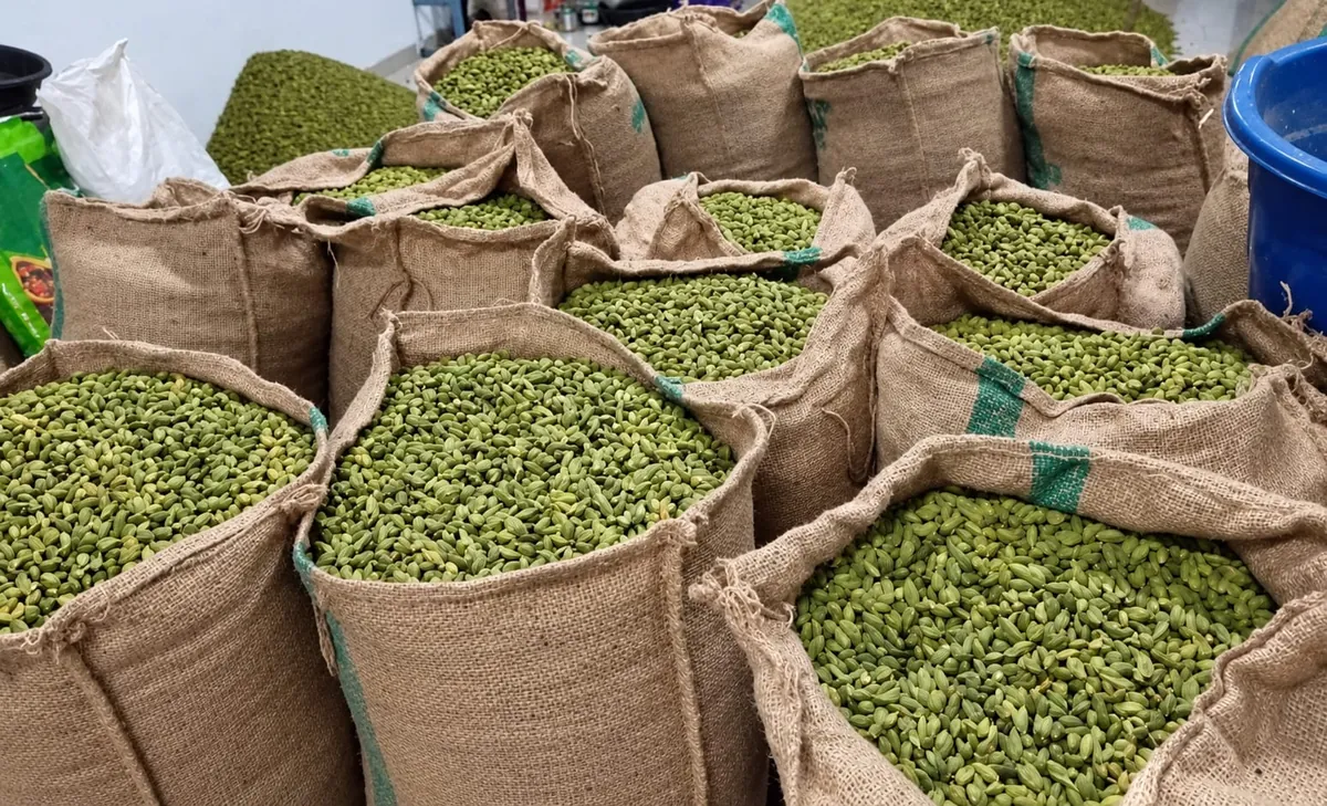 Jute sacks filled with graded green cardamom ready for dispatch