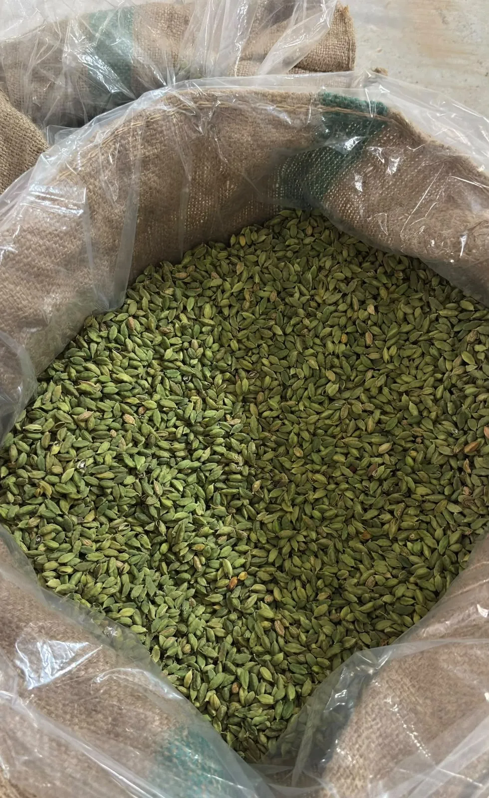 Green cardamom lot packed in a jute sack