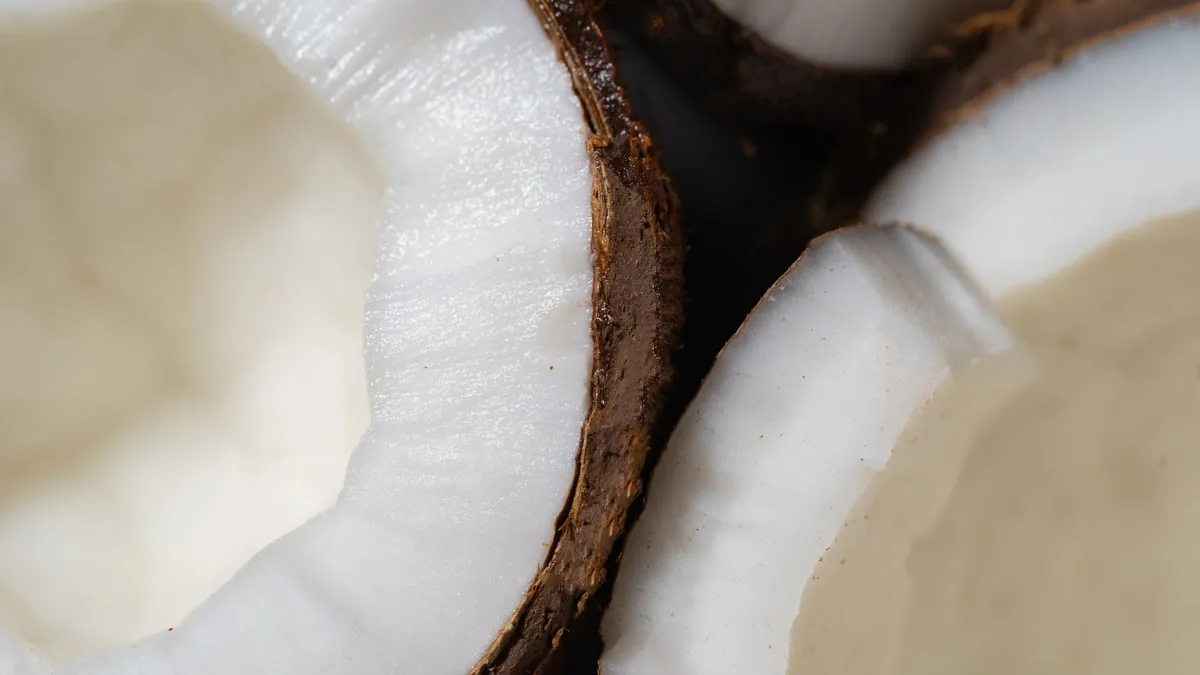 Dry coconut copra halves, representative photograph